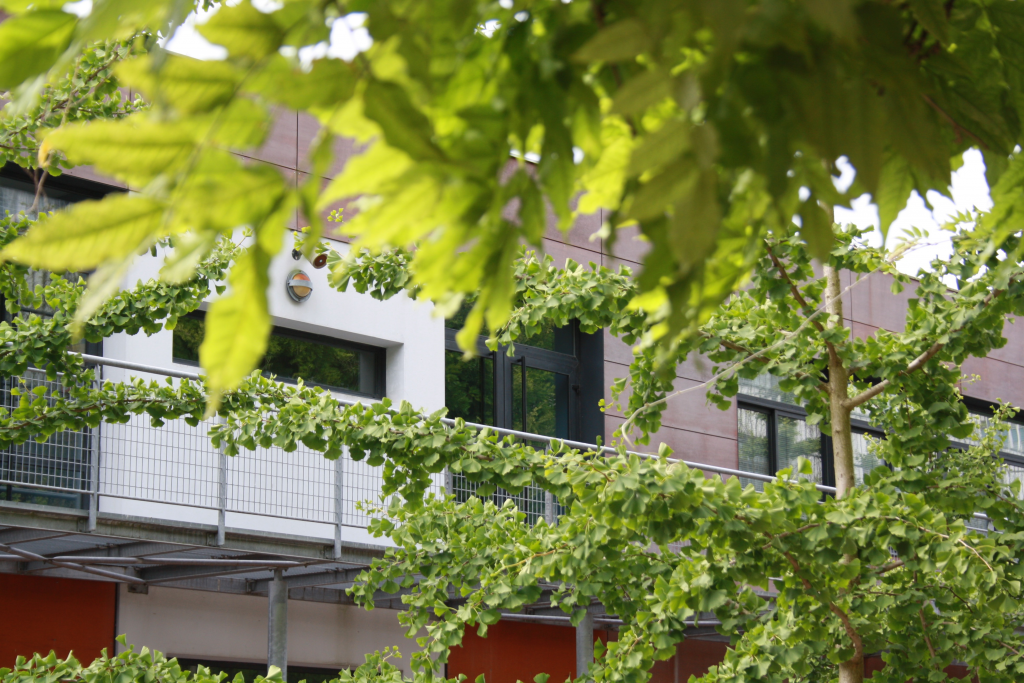 verdure-2
